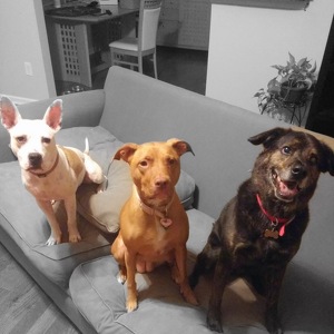 Team Page: The Crate Escape 